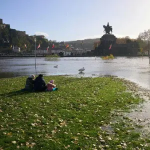 Leichtes Hochwasser am Rhein
