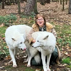 Tundrawolf Aslan in Wildpark Fasanerie gestorben