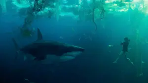 Im Wasser der Seine: Das Ende des Netflix-Hai-Horrors erklärt