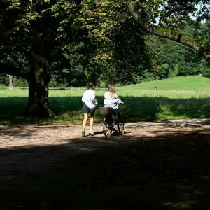 Sonne in Köln - Wetter