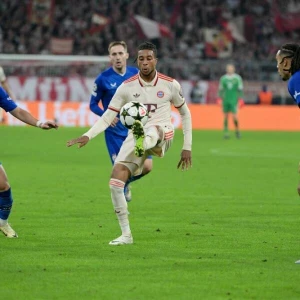 FC Bayern München - Dinamo Zagreb