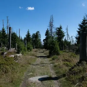 Brockenfeldmoor im Harz