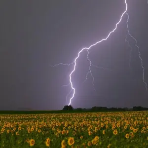 Unwetterschäden in Brandenburg