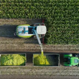 Erntebilanz im Land Brandenburg