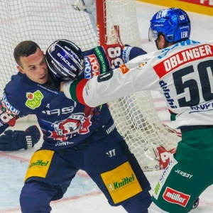 Eisbären Berlin - Augsburger Panther