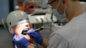 Studium der Zahnmedizin