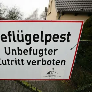 Geflügelpest