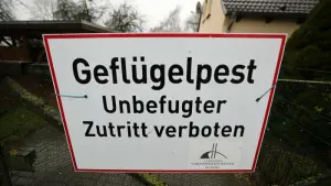 Geflügelpest