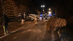 Zehn-Tonnen-Fels stürzt auf Straße in Österreich
