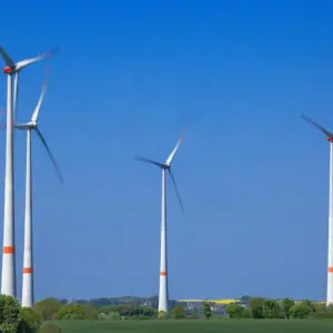 Entwicklung der Windenergie in Mecklenburg-Vorpommern