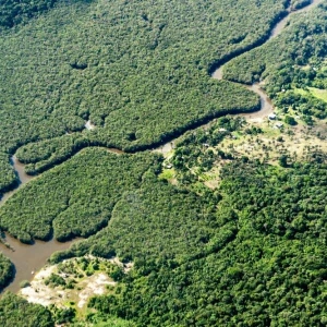 Rodung im brasilianischen Amazonasgebiet