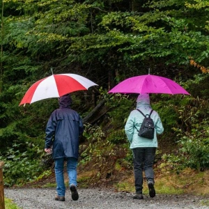 Wetterdienst: Regenschirm ist zum Wochenstart treuer Begleiter