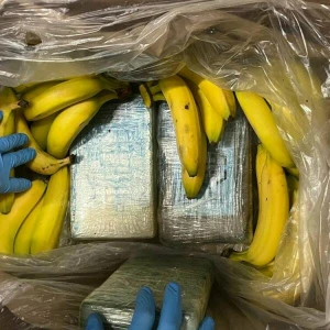 95 Kilo Kokain in Bananenkartons landen beim Discounter