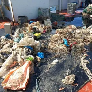 Müll aus dem Meer