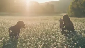 Frau fotografiert Hund in einem Feld