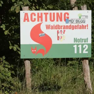 Waldbrandgefahr in Sachsen-Anhalt gering