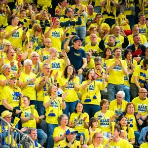 Fans der Rhein-Neckar Löwen