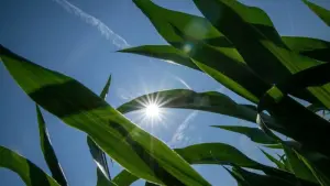 Sommerwetter in Nordbayern