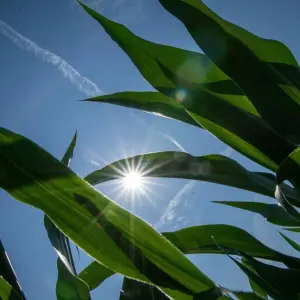 Sommerwetter in Nordbayern