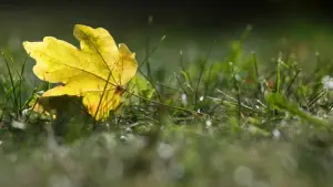 Wetter in Baden-Württemberg