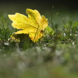 Wetter in Baden-Württemberg