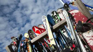 Blick auf diverse Skier