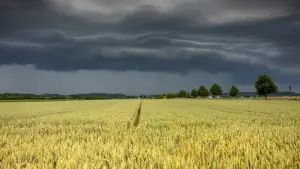 Vereinzelt Starkregen in Bayern erwartet