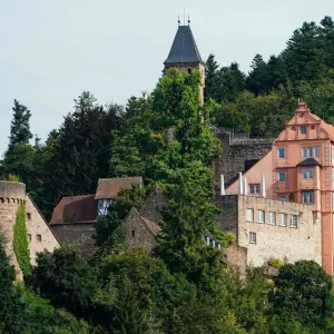 Schloss Hirschhorn