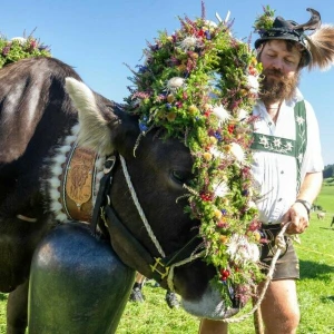 Viehscheid im Allgäu