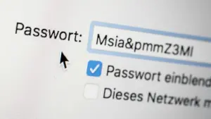 Passworteingabe auf einer Webseite