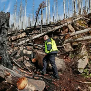 Großbrand am Brocken im Harz