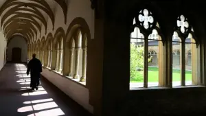 Franziskanerkloster Würzburg
