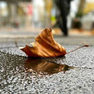 Herbstliches Wetter in Düsseldorf