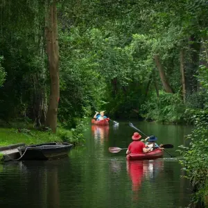 Im Paddelboot durch den Spreewald