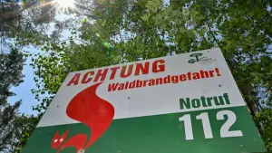 Waldbrandlage in Brandenburg