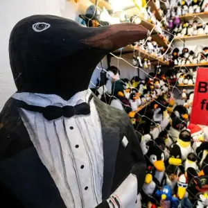 Pinguin-Museum Cuxhaven