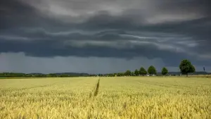 Dauerregen in Bayern erwartet