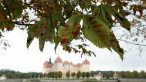 Herbst in Sachsen