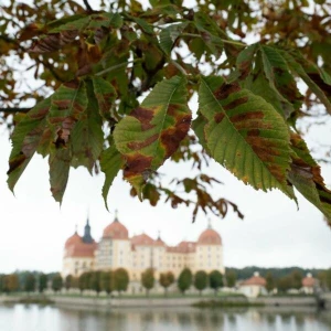 Herbst in Sachsen