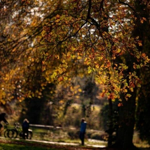 Herbstwetter im Park Sanssouci