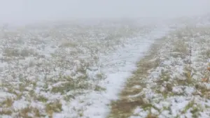 Wetter im Hochschwarzwald