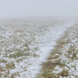 Wetter im Hochschwarzwald