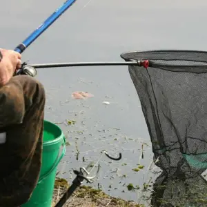 Angler in Mecklenburg-Vorpommern