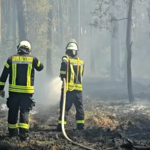 Wald- und Heidefläche brennt im Havelland