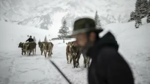 Schneefall in der Schweiz