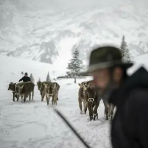 Schneefall in der Schweiz