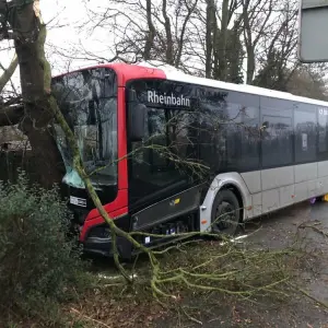 Linienbus kollidiert mit Baum