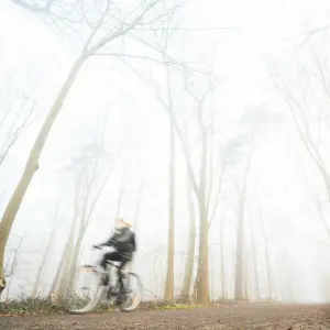 Nebel in Niedersachsen