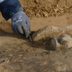 Steinzeitliche Gräber auf Intel-Gelände in Magdeburg entdeckt