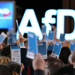 Landesparteitag der AfD Sachsen Anhalt